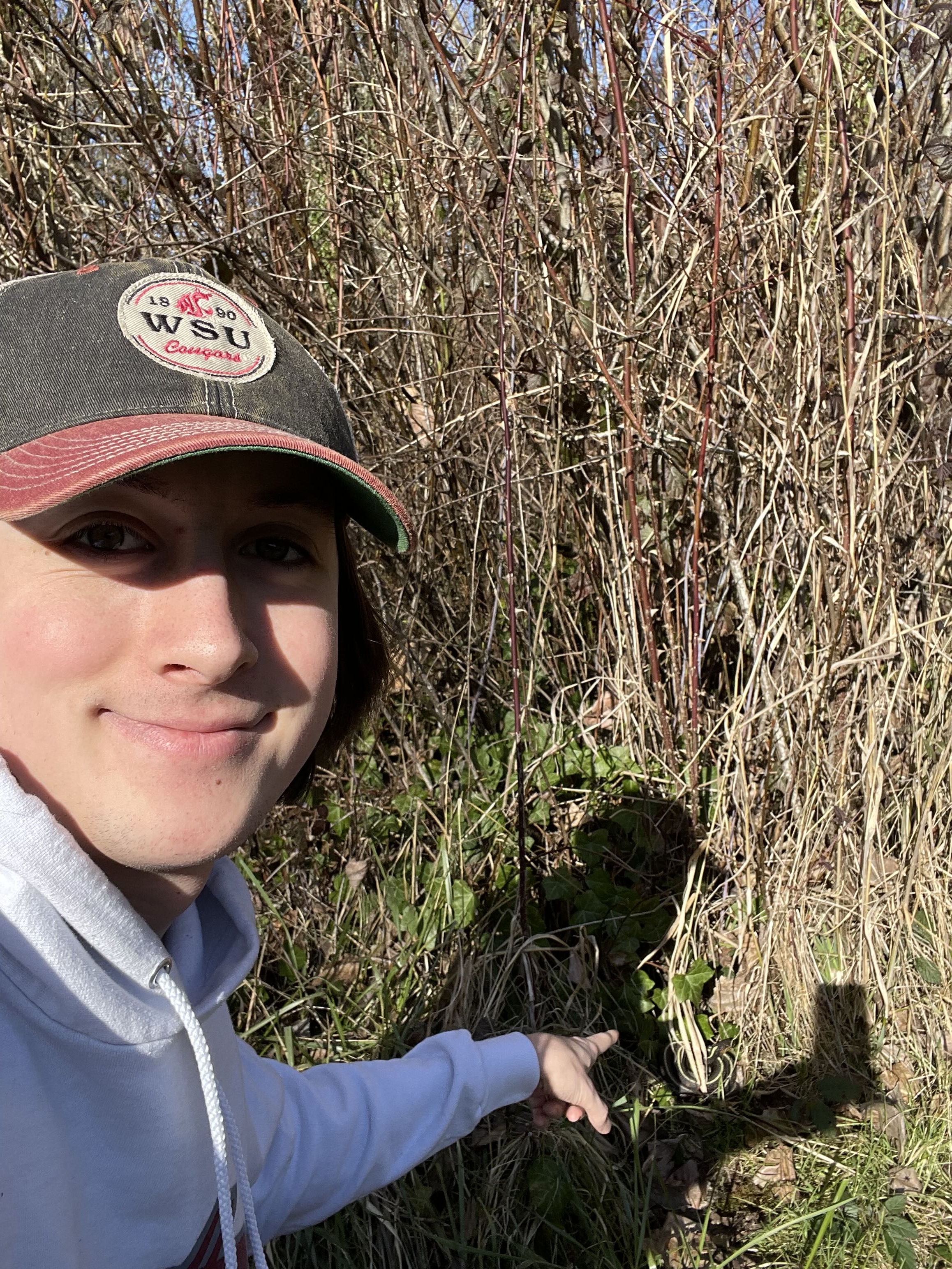 Outdoors hiking or creek